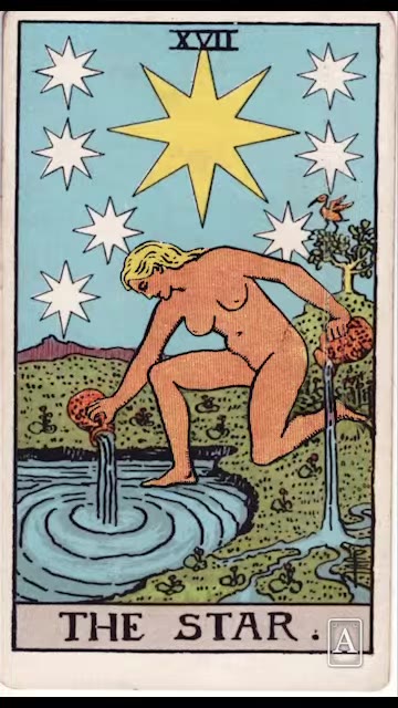 The Star